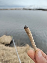 55ffc610-506d-41d4-9d29-712c82f46ed6