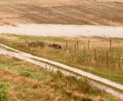 a401b493-2cf1-48e6-81c1-dbcf9ff031f4