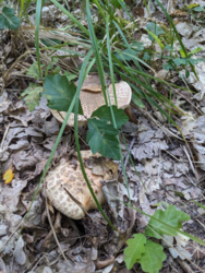 0a7eb535-b92a-4e8d-9c5d-11779d6bd39d