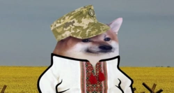 a1fa167f-3d56-4d4e-97ea-b0c0427be3a2