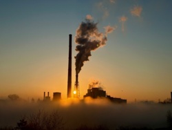 155cc524-5c4b-43c5-a500-87f70b2a99be