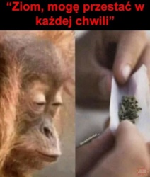 ed05fa8c-21b0-45c4-ad6b-03bb583658dc