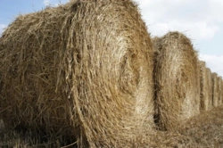 28ded844-40b5-4746-9936-be6a0c75f9b5