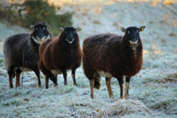 f722d7f0-6deb-4611-87aa-0769d575ffe7