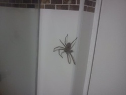 489b425a-1b5f-4ea5-8794-eb1b041f0896