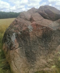 0447837e-4e67-4868-ae31-a20f5a3b222d