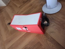 2cb7be91-4c48-4837-8d77-4f258ca5f5fe