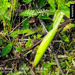 3cd2d8d5-e6b9-4a0f-801b-af693c1b60c0