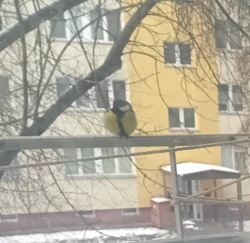 5181283a-b624-47e0-b73a-7241b8b98d22