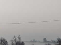 6909e9b6-f9b3-488d-bd79-19dd7bc4a63c