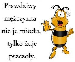 39619c8f-958d-4b89-9843-be6f8a3e3b08