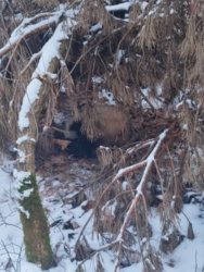 eefe881f-dde8-4c5b-9b2d-79323210f6c6