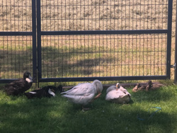 db9c65eb-750a-4cbf-ac97-308b0dde0c11