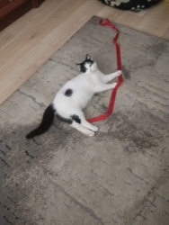 fb1f4f84-ba95-4acd-9c84-61d0c69cc405