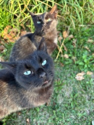 cb6c47ba-6dab-4685-92cb-e017229d03bf