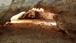 b396956f-35af-4663-baa9-395d9cc81d4a