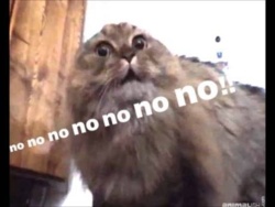 8df7c9ae-ba2b-41fe-a2d8-73d3db06ffaa