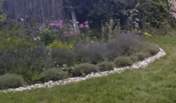 19ac6ae8-1bfe-49ab-a21a-df7ccb417b8c