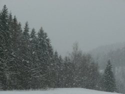 21c2c2ca-6394-4b5c-81dd-15baf860edea