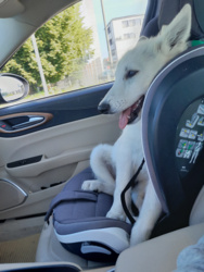 4daa9e68-a1bf-4914-a339-2124ee1a25be