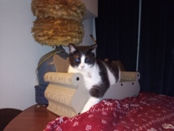 f642129a-8818-4d7b-8744-afbaac279600