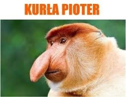 15d8ed91-4a96-41f8-b517-13a3b7d844ae