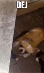 3aac3a77-3a3f-4359-9d57-260cd0c3f638