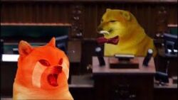 9f456ded-44e7-42e1-a597-9ab1ac3ff31c