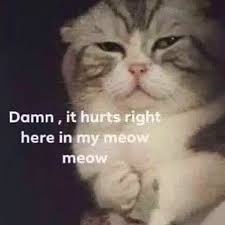 d3e634d3-48f2-4dea-be4b-06511b46968f