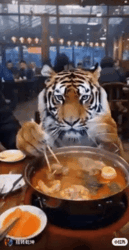 95f363de-45bb-4d3e-b94c-81274640d29c