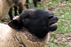 8577493f-fc17-4243-9f7f-8826acb6820c