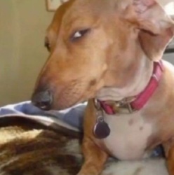 ea0aef96-1124-4a45-af49-25ecd79ec4b1