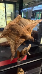 532a3e00-ae92-4d46-88e7-187bd799c9dc