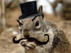 373647c3-5e3f-4c39-89eb-84108530b2a7