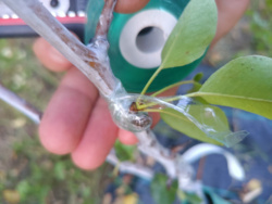 b09f2e65-efe1-43f6-9c45-dc7b5fc4b41b