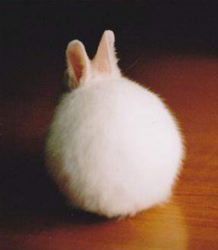 b62ba8df-f385-415e-8315-cc1bf2a706e0