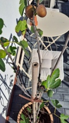 6548321c-1b3e-4206-a7ab-9d3fd85328d4