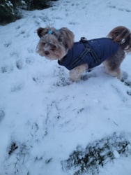 32dd9c01-f9ff-439a-b204-95e208150d01