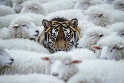 c57fc448-063f-42d5-8d65-746e1cf93c04