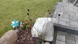 28074eda-fe03-48c4-a713-d821164cb38f