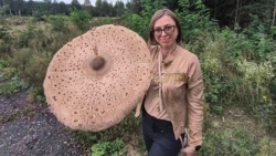 22630837-af27-4014-935d-ba5a7a859711