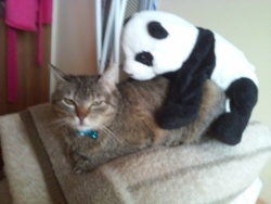 a02b23bd-f2ea-41ce-ae92-ae9afc908869