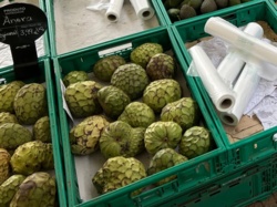 08605ea6-e2ae-48ad-9d10-49a612132e59