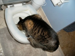 c4c69be1-1081-4a47-a64c-1e034d343822