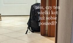 375c8f57-35b1-47f6-9da4-1f33c34172f5