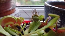 1f1965a1-4e70-4207-9efd-e410b021b84e