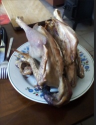 43540cb0-c4d5-470d-8374-d7f5d39d1fcb