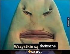 3b77dd6e-c44a-497d-b8a0-7040e78f473d