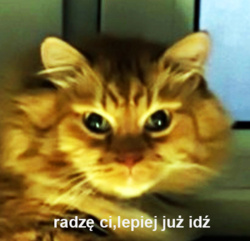 1b3b06e2-fc9b-40c2-844f-bb267bdd7005