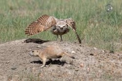 8752c494-6361-45b1-95b5-efed638353e8